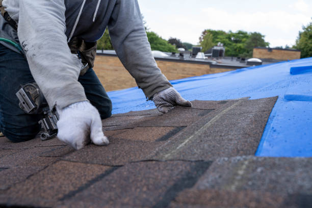 Best Emergency Roof Repair  in Robertsde, AL