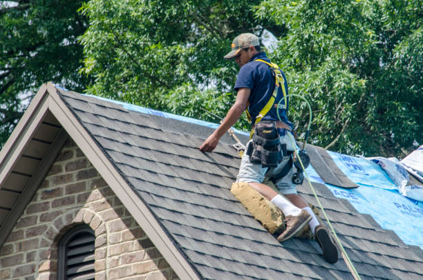 Best Roof Maintenance Services  in Robertsde, AL
